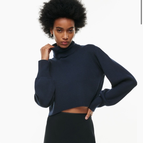 Wilfred Rebecca Turtleneck Aritzia BRAND NEW Admiral - Picture 2 of 7